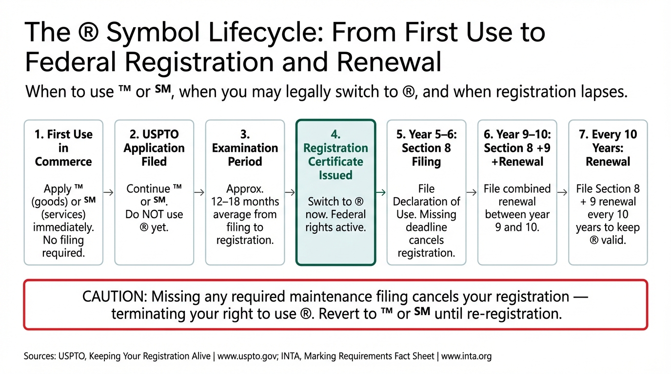 The ® Symbol Lifecycle: From First Use to Federal Registration and Renewal