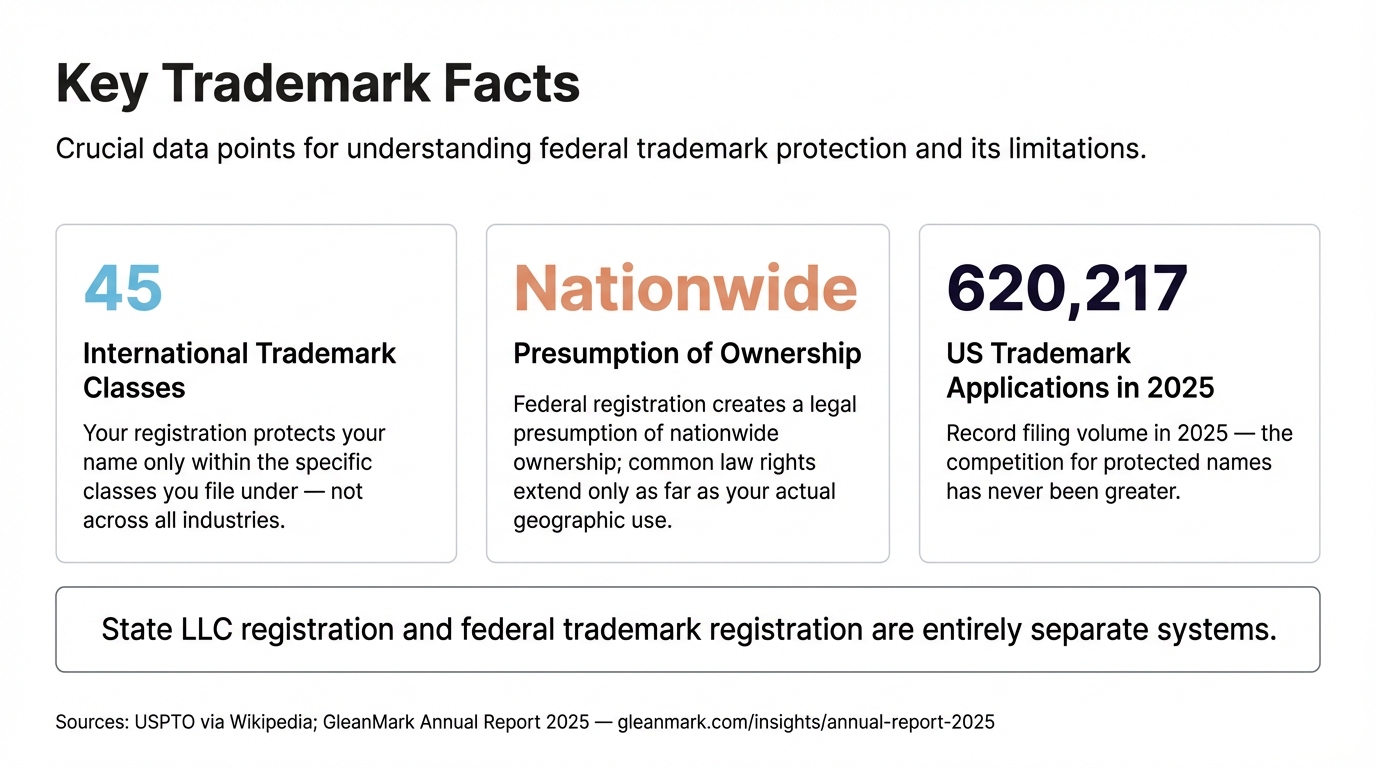What a Federal Trademark Registration Actually Gives You