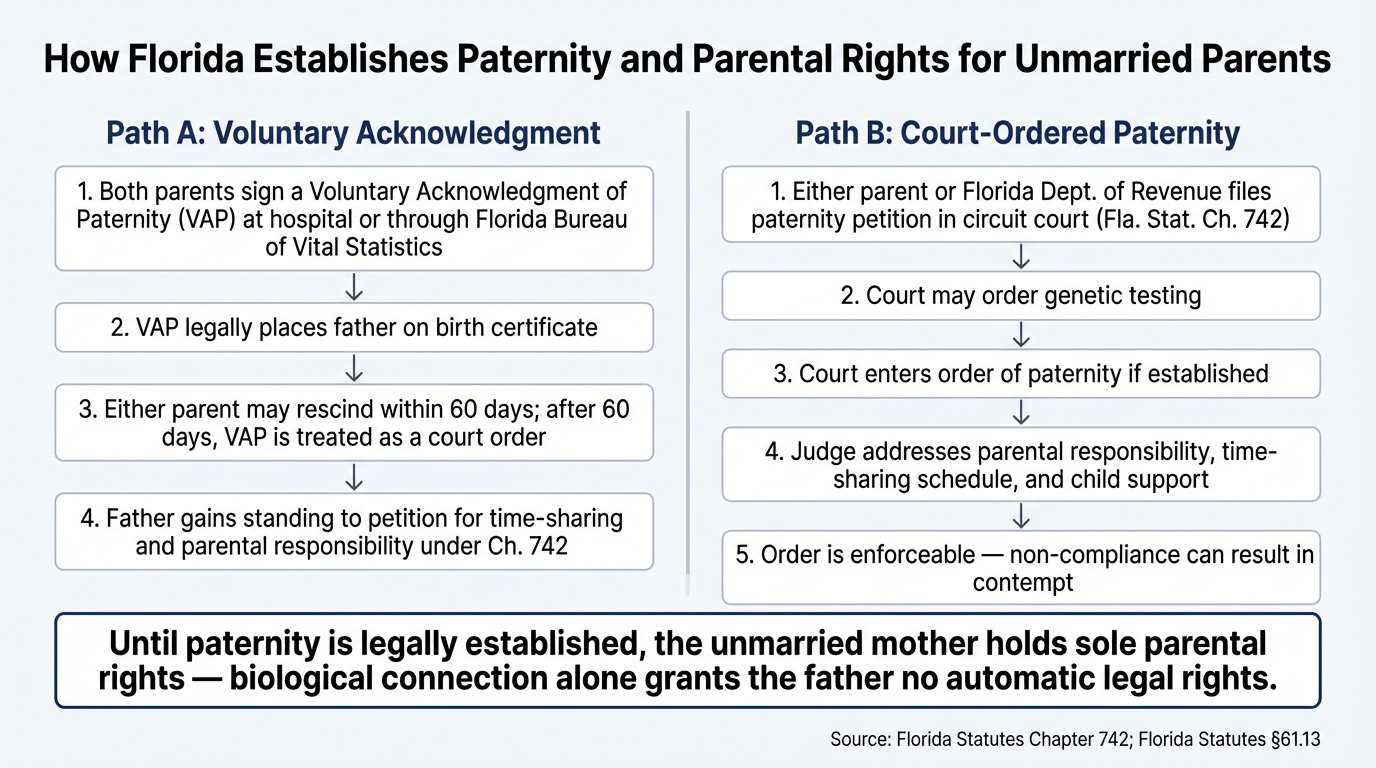 How Florida Establishes Paternity and Parental Rights for Unmarried Parents